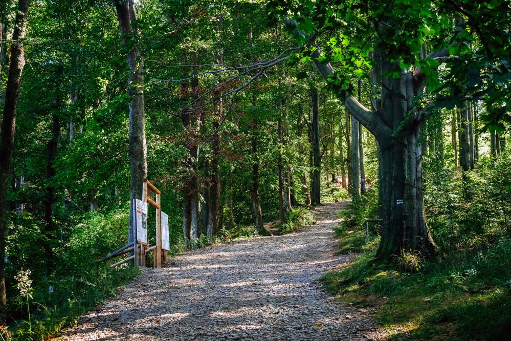 Szlak pieszy na Szyndzielnie